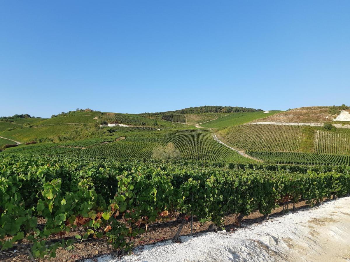 La Cour Des Marotiers Bed & Breakfast Mareuil-sur-Ay Exterior foto